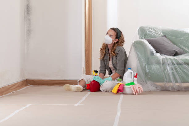 Reliable Commercial Mold Remediation contractor in Hopewell, PA by WQB Mold Removal